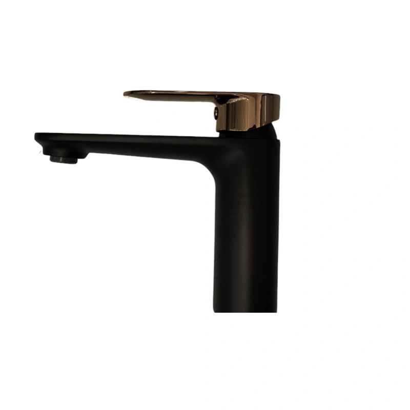 BATERIE LAVOAR VFC168251AH