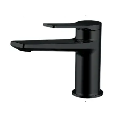 BATERIE LAVOAR WNW168073PA