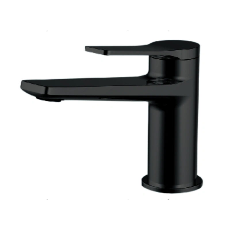 BATERIE LAVOAR WNW168073PA