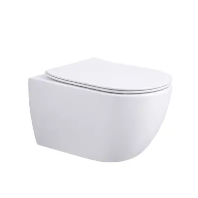 WC SUSPENDAT CU BATERIE 2381B/a