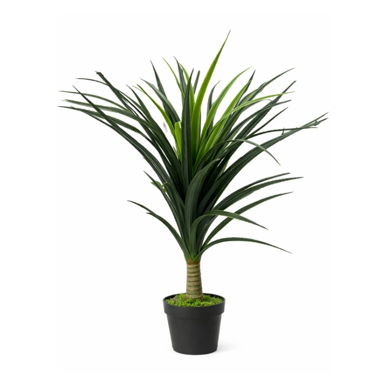 PANDANUS copac artificial