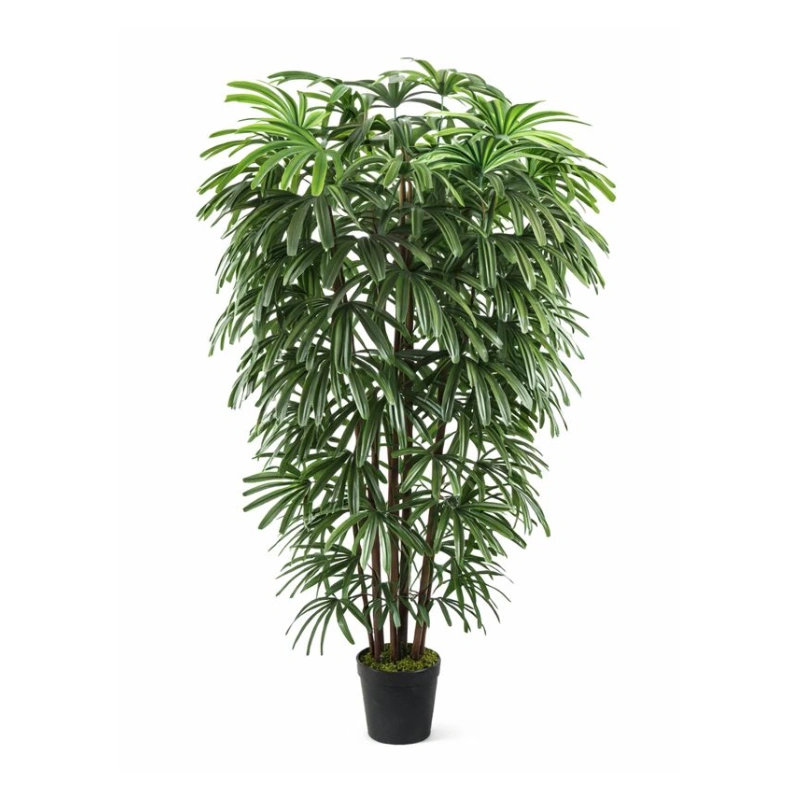 RHAPIS copac artificial