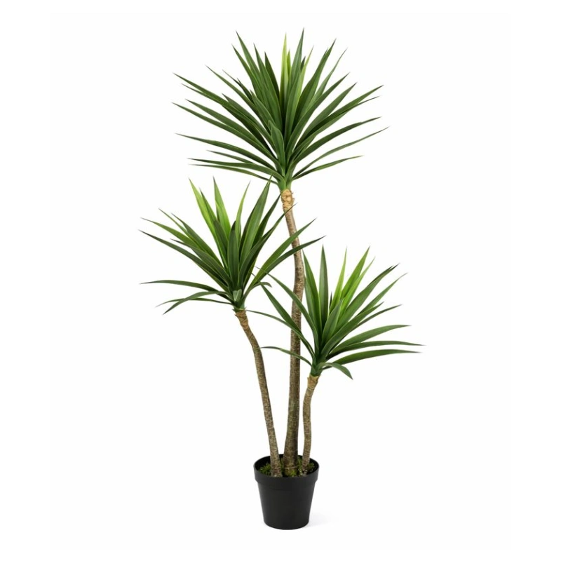 YUCCA copac artificial