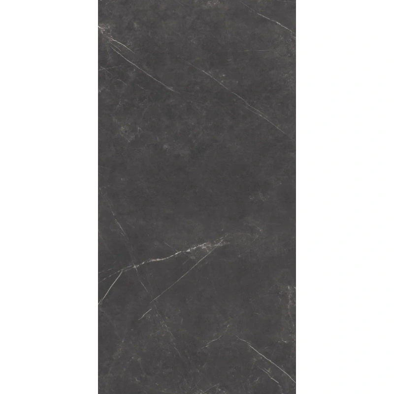 C-PALADIO MARRON 60x120x5.6 P