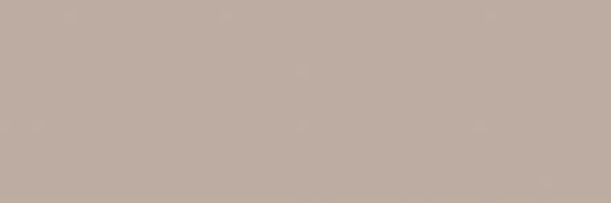 C-BASIC TAUPE 100x300x3.5 N.