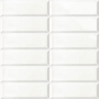 BISSEL BLANCO BRILLO 10x30 