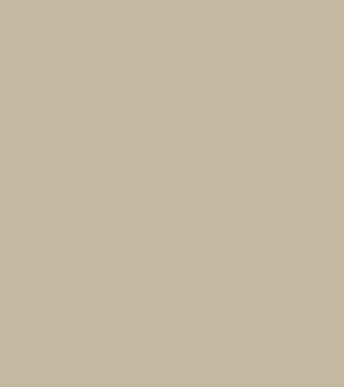 CULOAREA Parchment