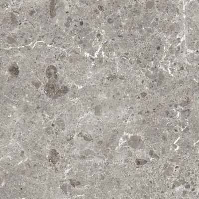 C-ARTIC GRIS 120x260x5.6 P.