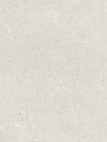 60 x 120