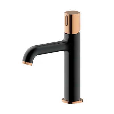 BATERIE LAVOAR WTW168113AH