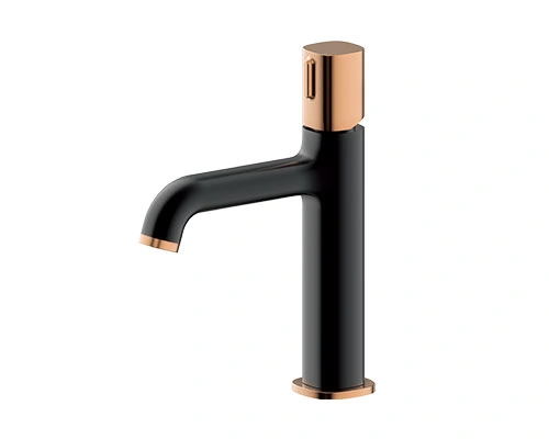 BATERIE LAVOAR WTW168113AH