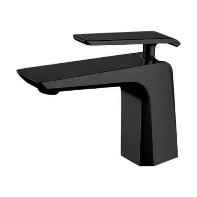 BATERIE LAVOAR WPK168079PA