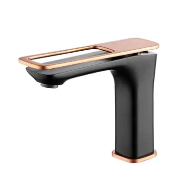 BATERIE LAVOAR WTA168111AH