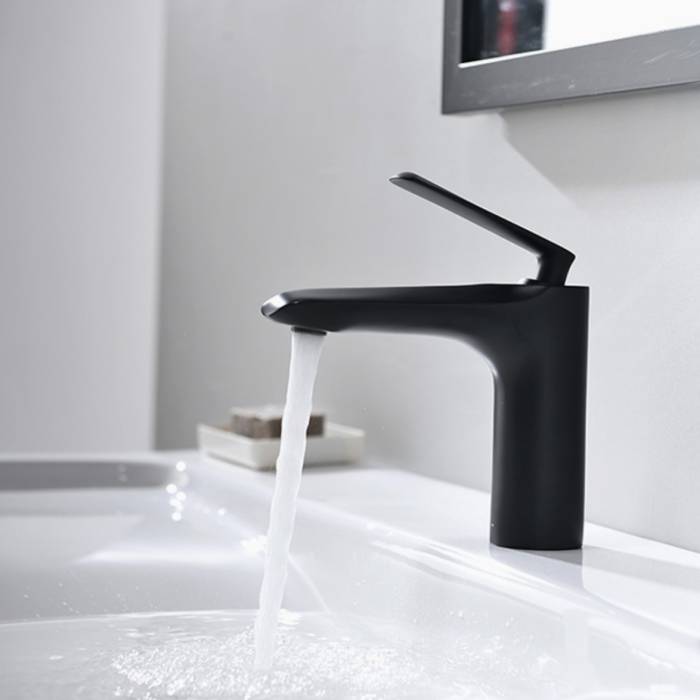 BATERIE LAVOAR K1098