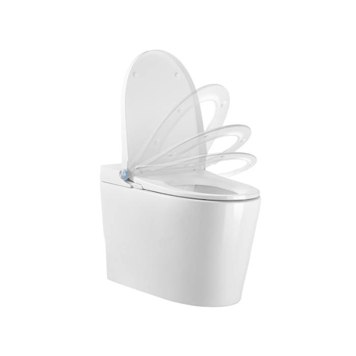 WC SMART IT-421A