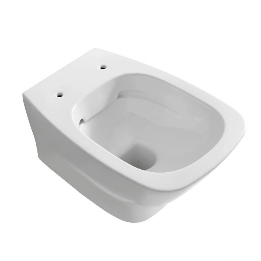 WC SUSPENDAT DAILY SENZABRIDA